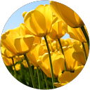Laura MacMaster profile picture